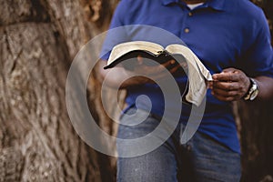 Closeup shot of a person leaning against the tree and reading the bible