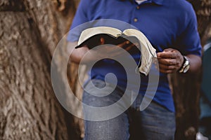 Closeup shot of a person leaning against the tree while reading the bible