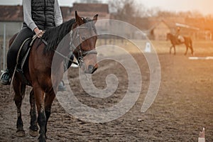 Closeup shot of a person riding a brown horse at a farmland at sunset