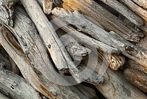 Closeup shot of a pile of driftwood  picked from the seashore photo