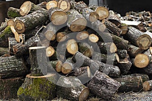 Closeup shot of a pile of firewood barks
