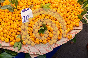 Closeup shot of a pile of fresh oranges put on the floor on a piece of fabric in a public market