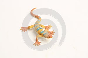 Closeup shot of a plastic lizard toy miniature isolated on white background