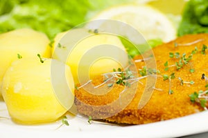 Closeup shot of pork escalope with herbs and boiled potatoes on a plate