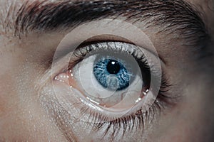 Closeup shot of a pulled down blue human eye with veins, Ophtalmology concept