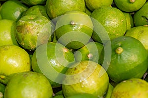 Closeup shot of rangpur citrus