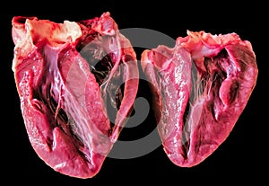 Closeup shot of a real heart sectioned in two on a black background