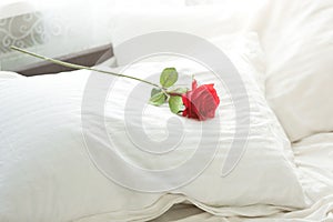 Closeup shot of red rose lying on white pillow at bed