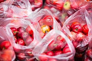 Closeup shot of red tomatoes in plastic bags