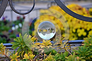 Closeup shot of a reflective crystal ball in Daejeon, South Korea