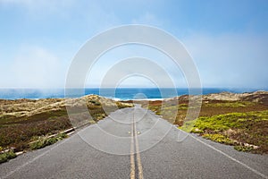 Closeup shot of a road leading to Point Reyes National Seashore in California