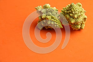 Closeup shot of the romanesco broccoli isolated on an orange background