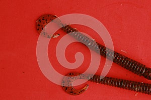 Closeup shot of rubber fishing lures isolated on a red background