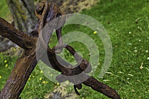 Closeup shot of a rusty anchor in a grassy field with a blurred background