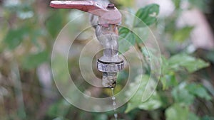 Closeup shot of rusty tap in the garden