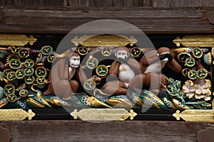 Closeup shot of the sacred carvings of three monkeys in Toshogu Shrine, Japan