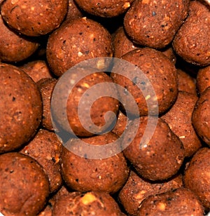 Closeup shot of several boilies used for carp fishing