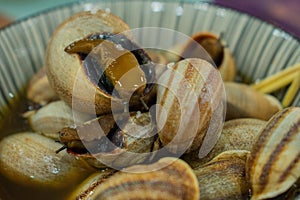 Closeup shot of several snails on top of each other