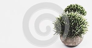 Closeup shot of small artificial potted plants on a white background