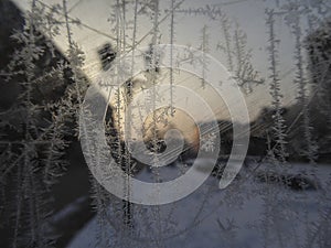 Closeup shot of snowflakes on glass