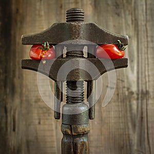 Closeup shot of steel contraption squishing two tomatoes on wooden background