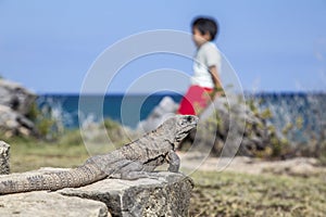 Closeup shot of a stone lizard statue on the Tulum coast in Mexico