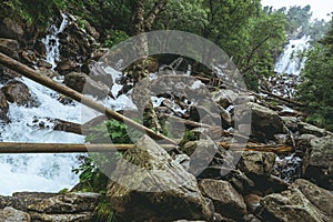 Closeup shot of stones in the river flowing trough the forest