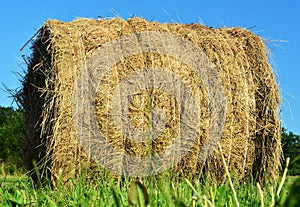 Closeup shot of straw roll on the field