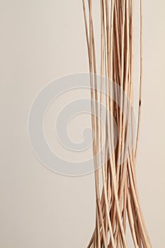 Closeup shot of thin pliable wicker sticks on a gray background