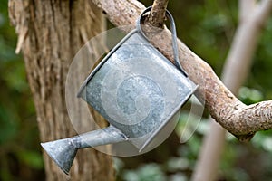 Closeup shot of a tinplate watering can hanging on a tree branch in the garden with blur background