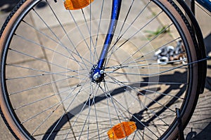 Closeup shot of the tire of a blue bicycle on the pavement captured on a sunny day