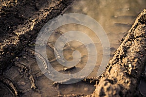 Closeup shot of a tire mark in the mud, filled with dirty water