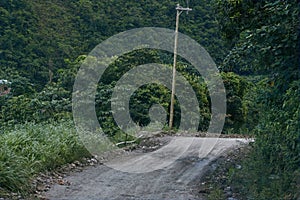 Closeup shot of an unpaved road and an old wooden electricity post with a forest background