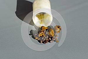 Closeup shot of various brown gallstones from a tube