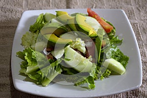 Closeup shot of a vegetable salad with lettuce, cucumbers, and avocadoes on a white plate