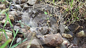 Closeup shot of a water flow of river over the small stones