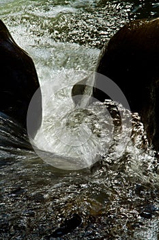 Closeup shot of water movement from a river