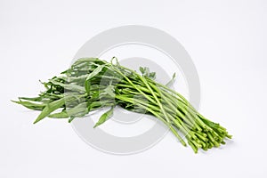 Closeup shot of water spinach isolated on white background