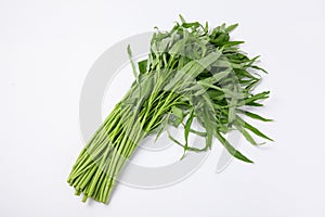 Closeup shot of water spinach isolated on white background