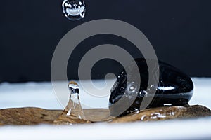 Closeup shot of waterdrop on the surface of a slick stones