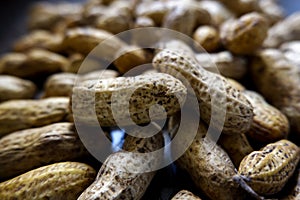 Closeup shot of wet peanuts shell group isolated on floor