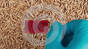 Closeup shot of wheat grains background, hand in glove puts red paper with E 142 written on it.