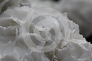 Closeup shot of white artificial flowers in a bouquet