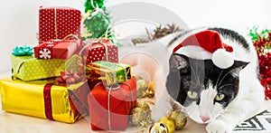 Closeup shot of white and black cat with Christmas Santa Claus hat with ornaments on a table