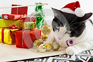 Closeup shot of white and black cat with Christmas Santa Claus hat with ornaments on a table