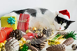 Closeup shot of white and black cat with Christmas Santa Claus hat with ornaments on a table