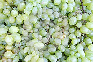 Closeup shot of white grapes - background