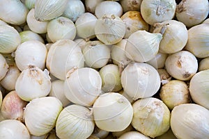 Closeup shot of white onions in a market under the lights - perfect for food concepts