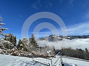 Closeup shot of winter in Orgevaux, Vallon de Villars the Swiss alps, Switzerland