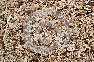 Closeup shot of wood chips in a pile background